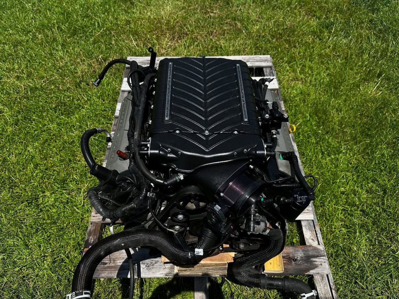 Gen 2 coyote with 6 speed manual Whipple supercharged